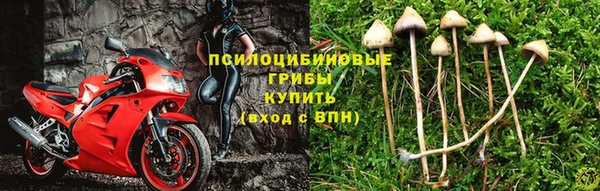MESCALINE Краснотурьинск