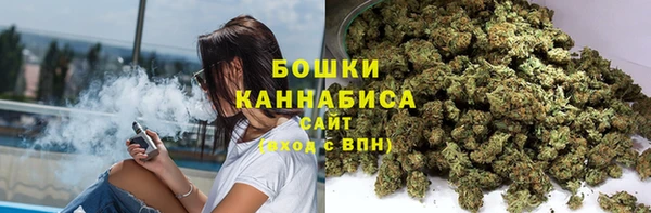 PSILOCYBIN Ленинск